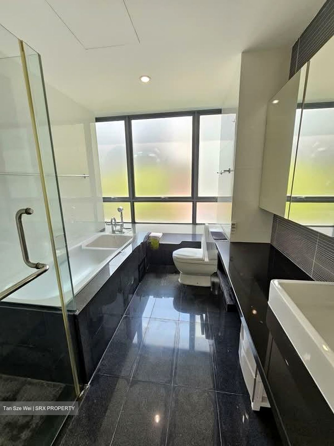 Vertis (D15), Apartment #592449221